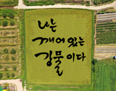 열세 번째 봄, ‘캐릭터논 손모심기‘ 자원봉사자 모집