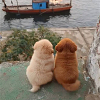 프로필사진