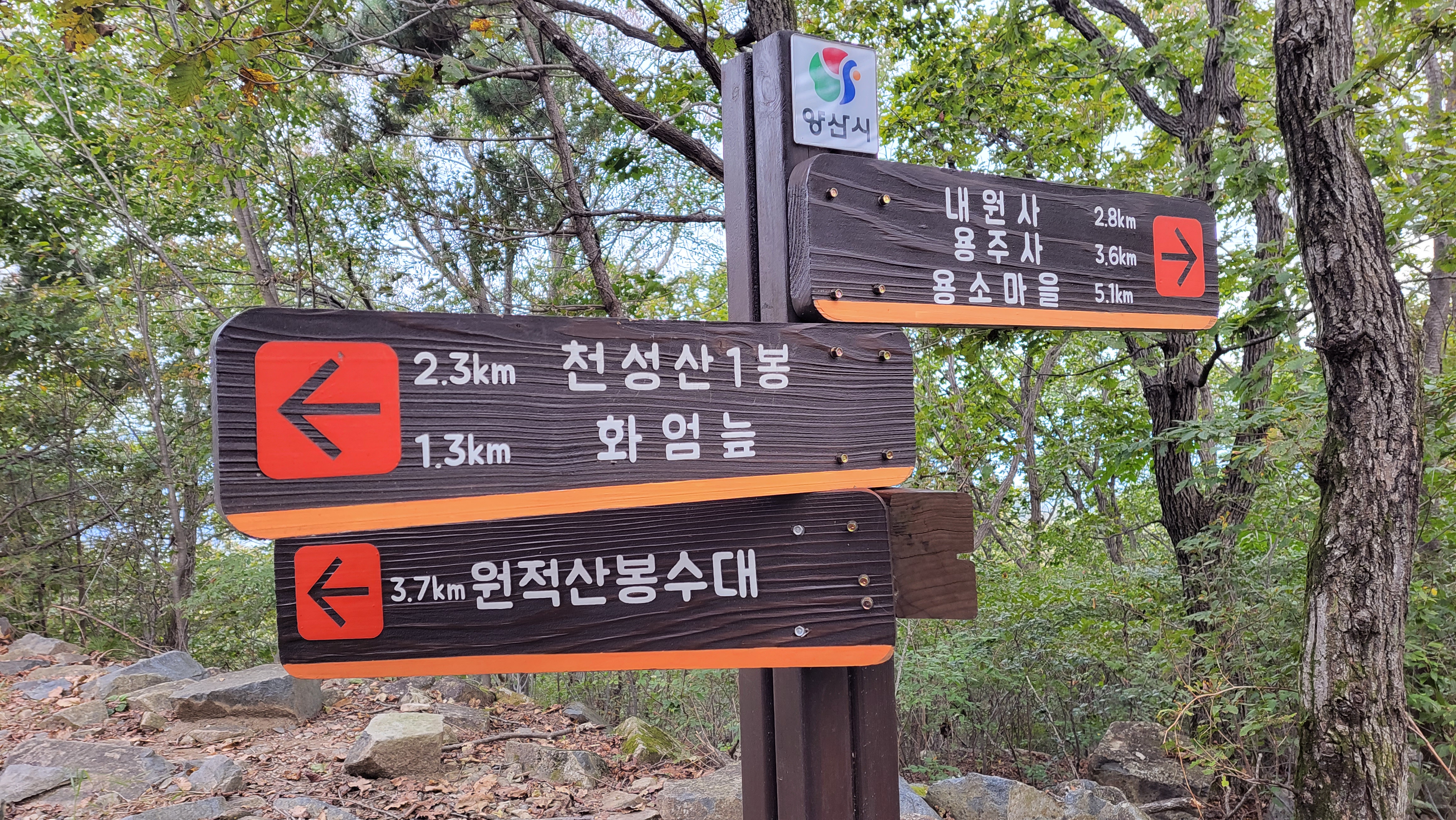 KakaoTalk_20231003_123027917.jpg