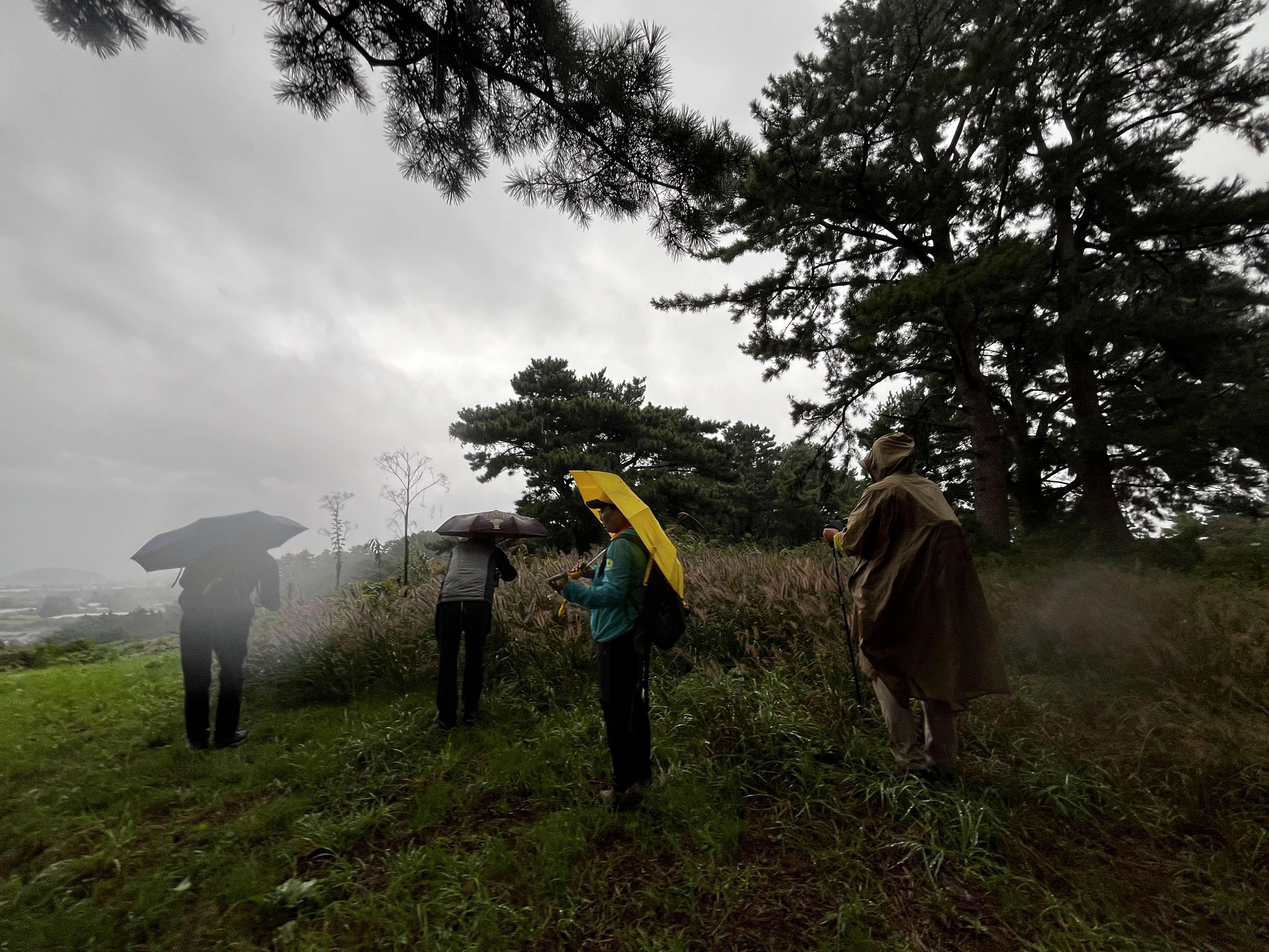 노무현재단 제주위원회_사진_20251019_5.jpg