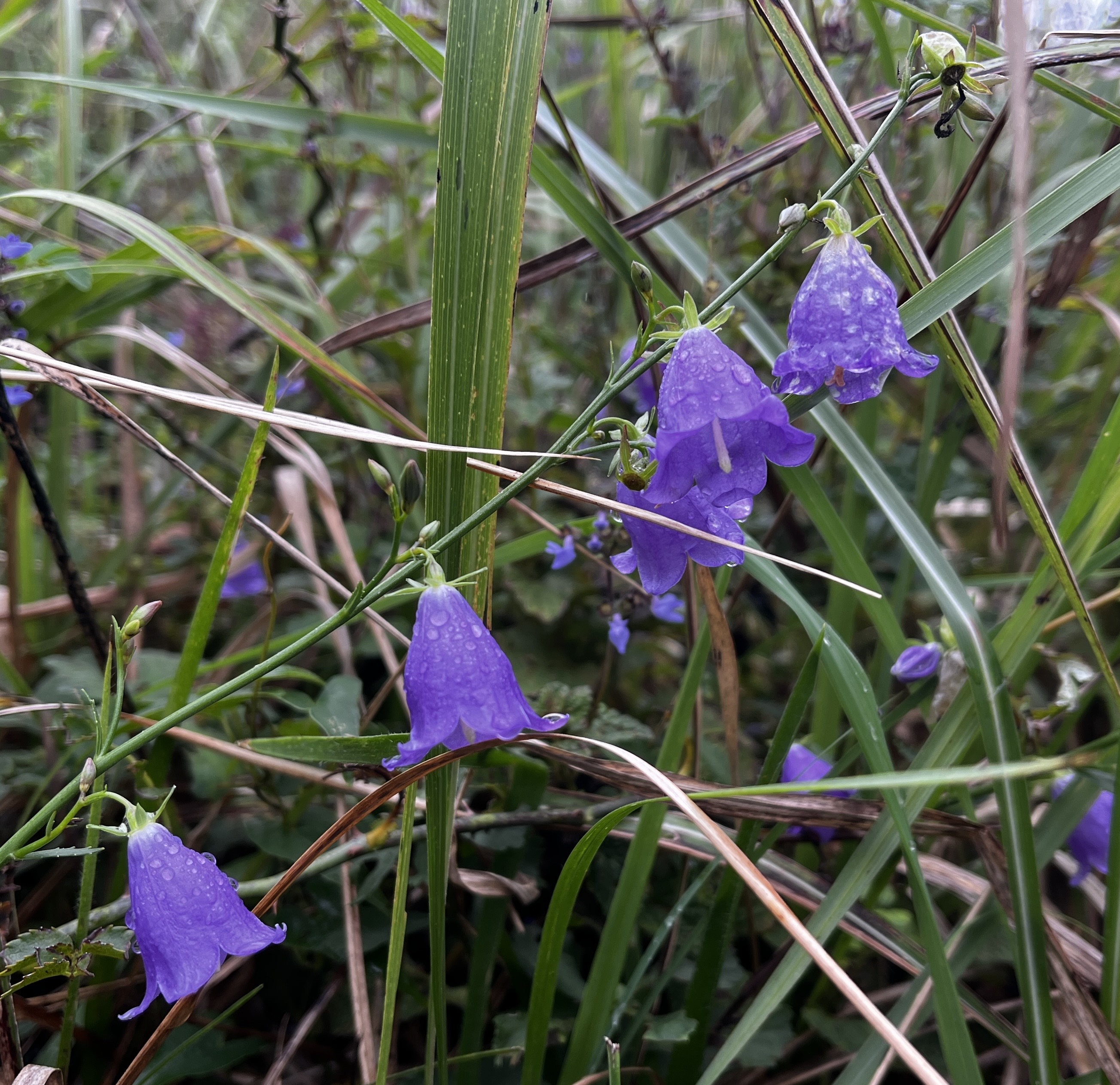 노무현재단 제주위원회_사진_20251019_17.jpg
