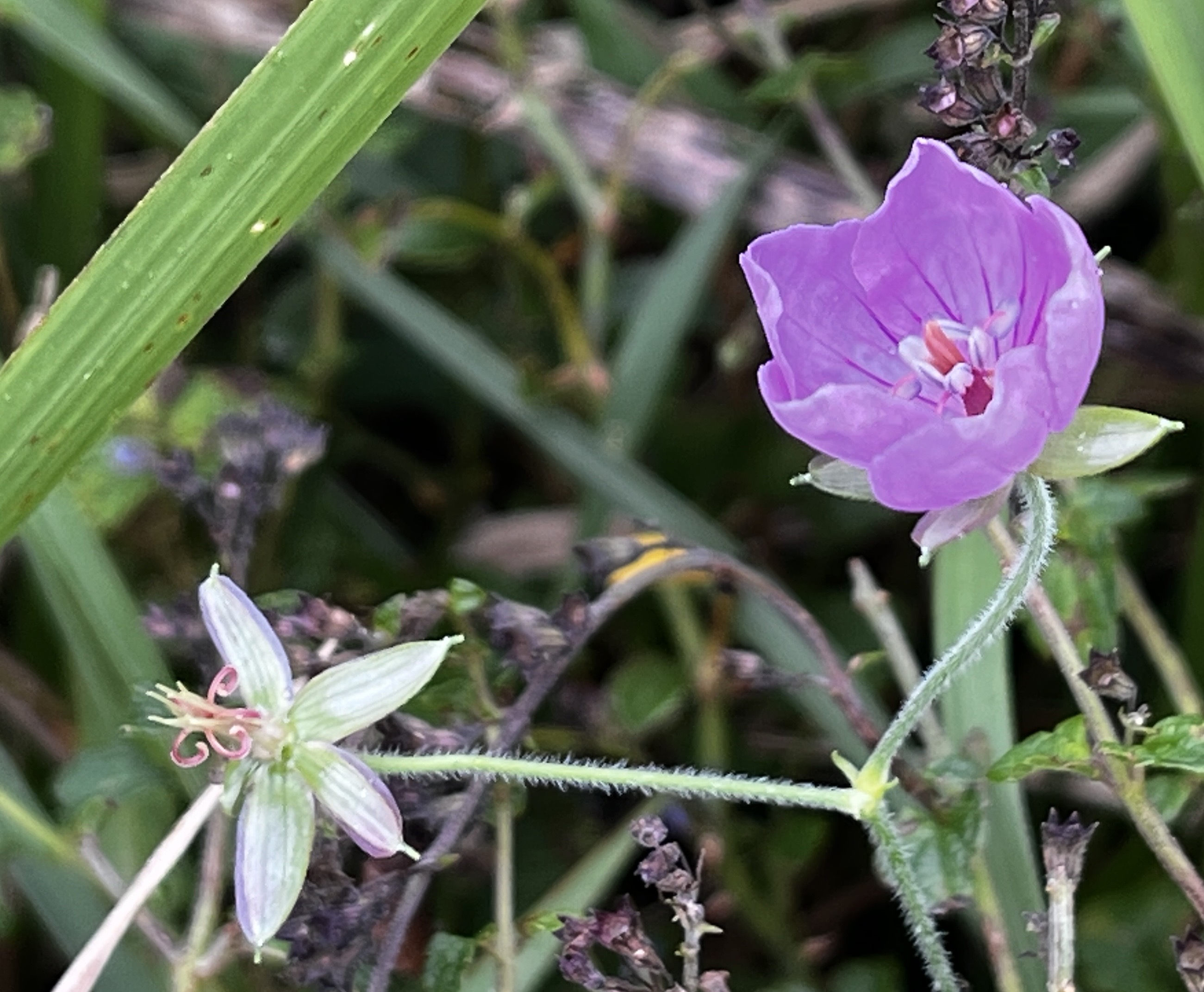 노무현재단 제주위원회_사진_20251019_18.jpg