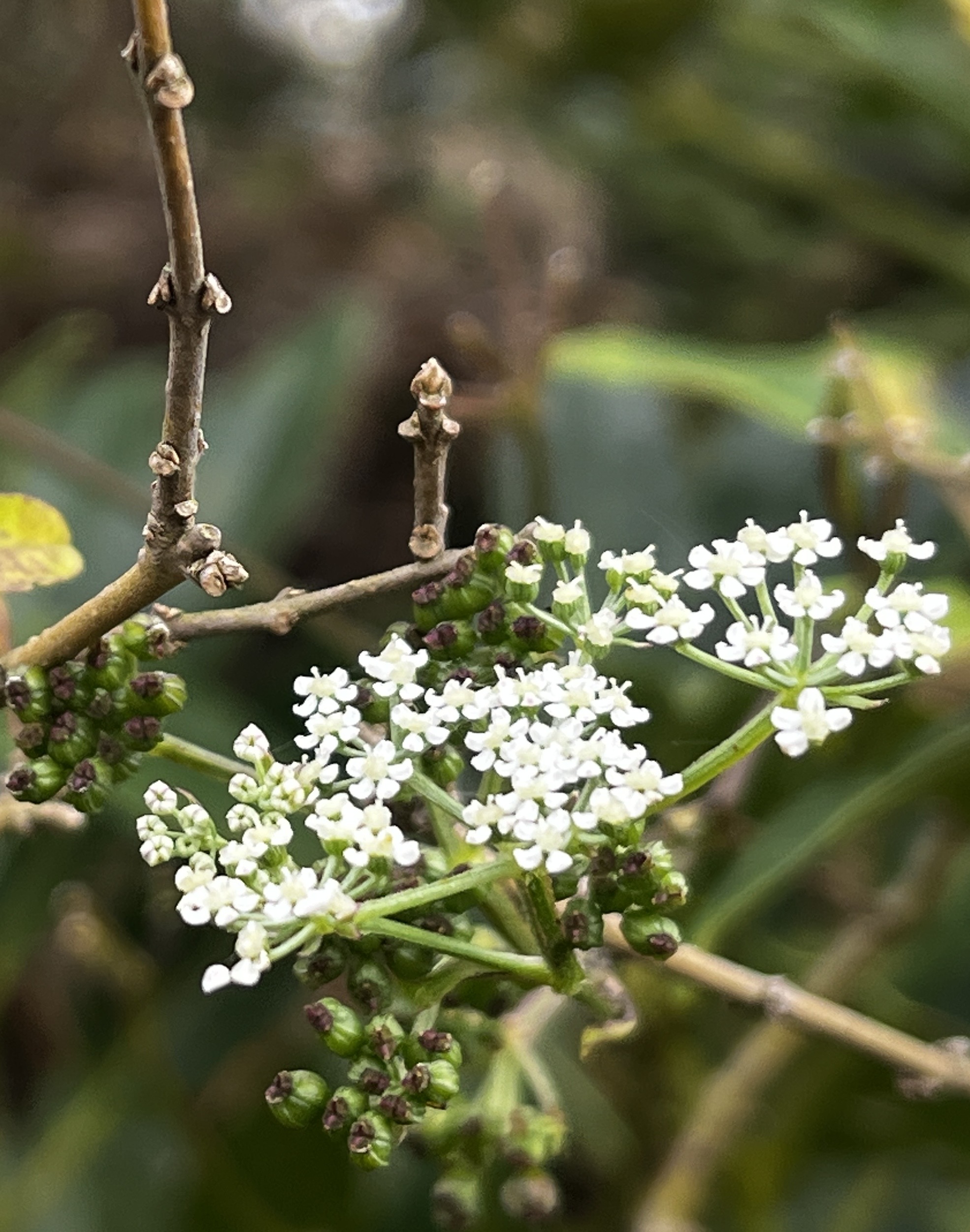 노무현재단 제주위원회_사진_20251019_35.jpg