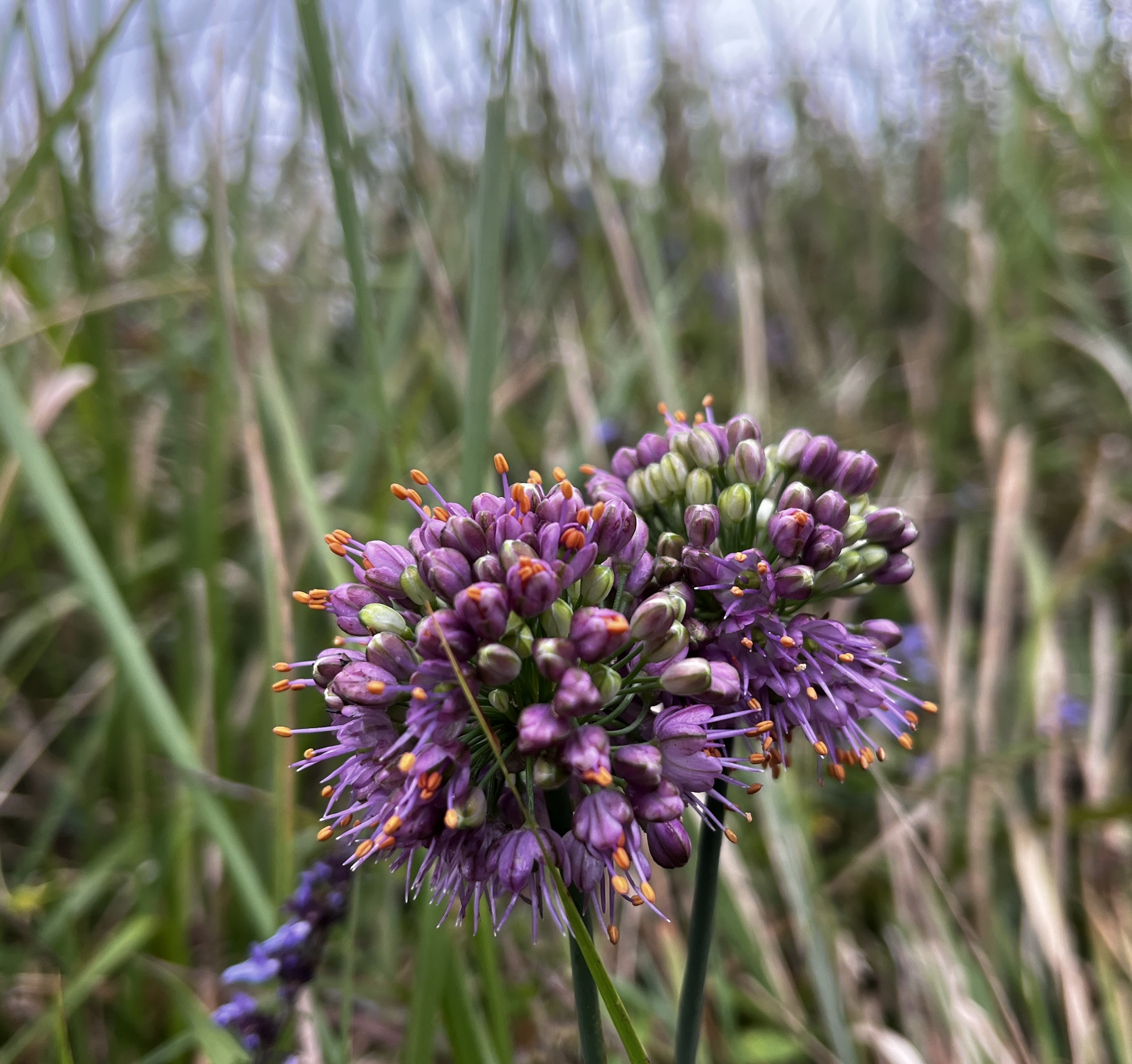 노무현재단 제주위원회_사진_20251019_19.jpg