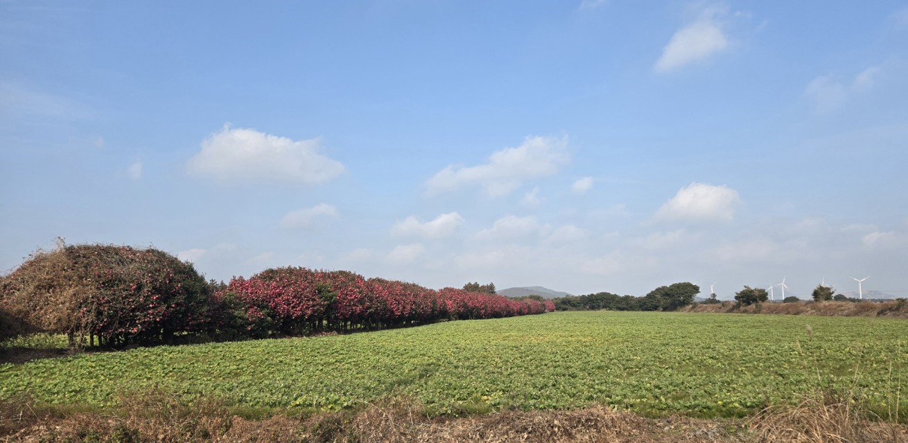 노무현재단 제주위원회_사진_20260118_5.jpg