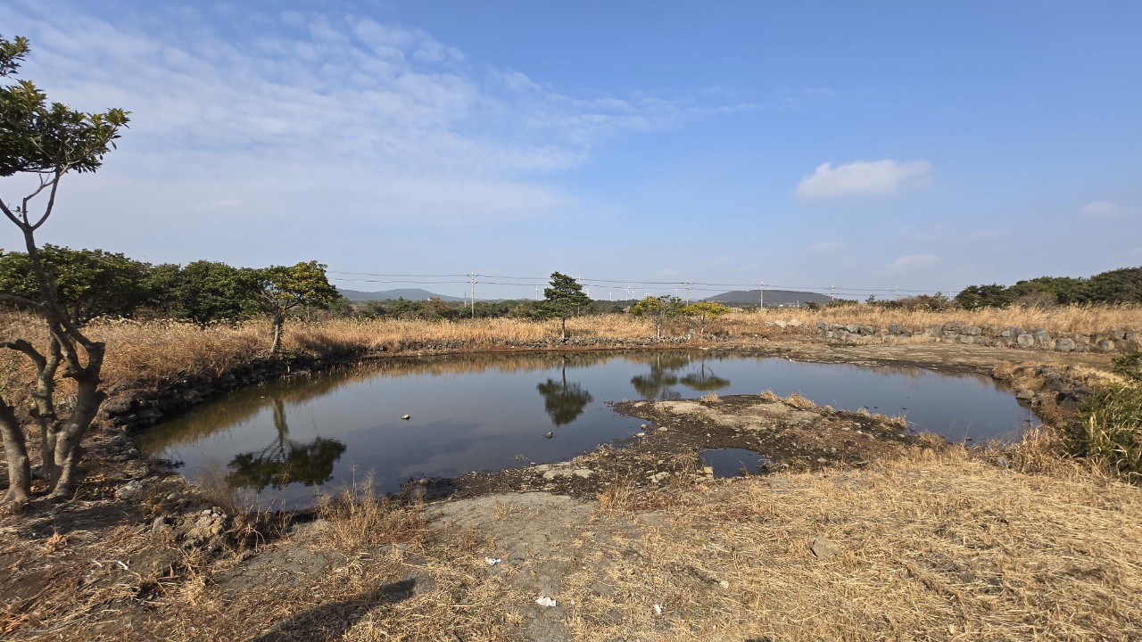 노무현재단 제주위원회_사진_20260118_19.jpg