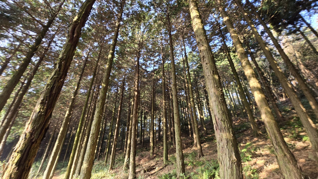 노무현재단 제주위원회_사진_20260118_3.jpg