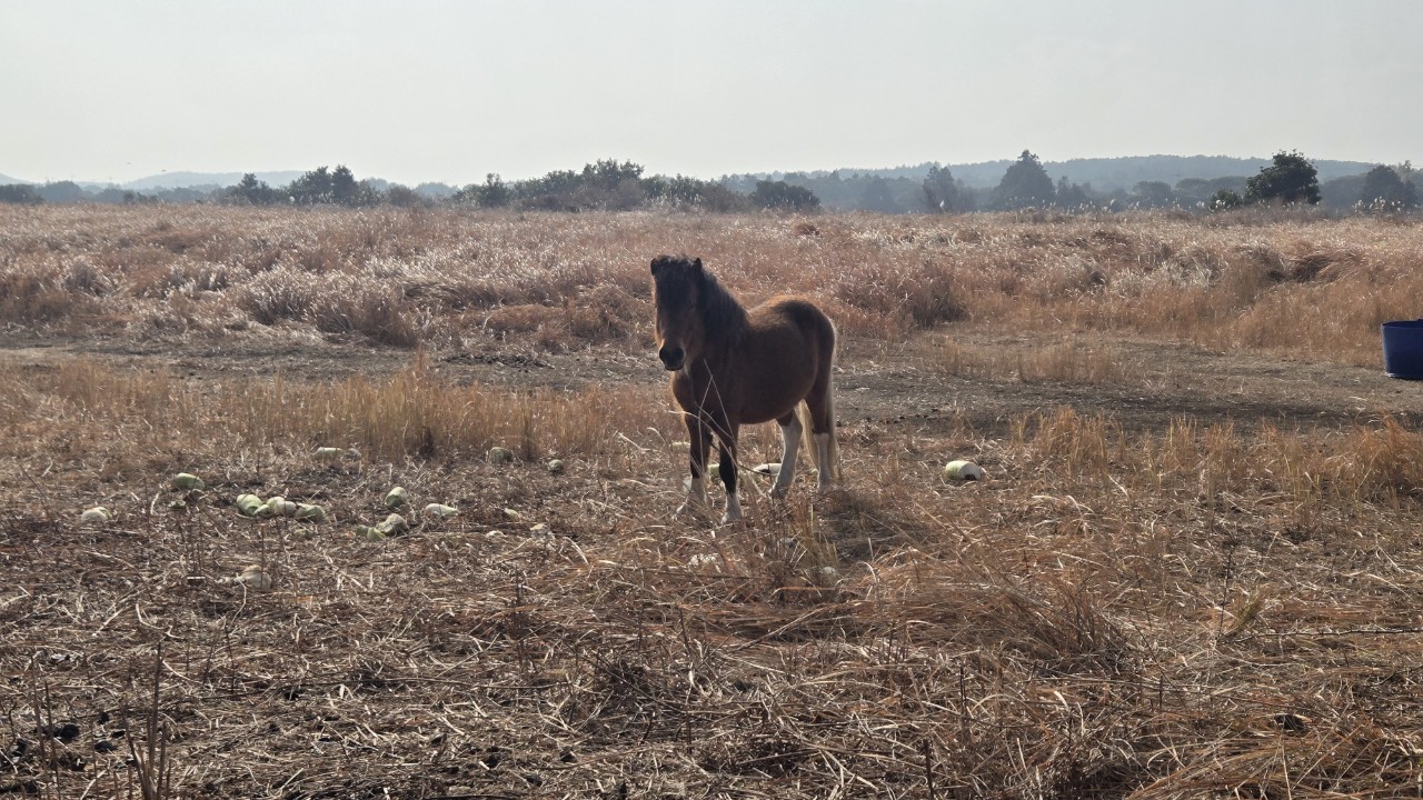 노무현재단 제주위원회_사진_20260118_7.jpg