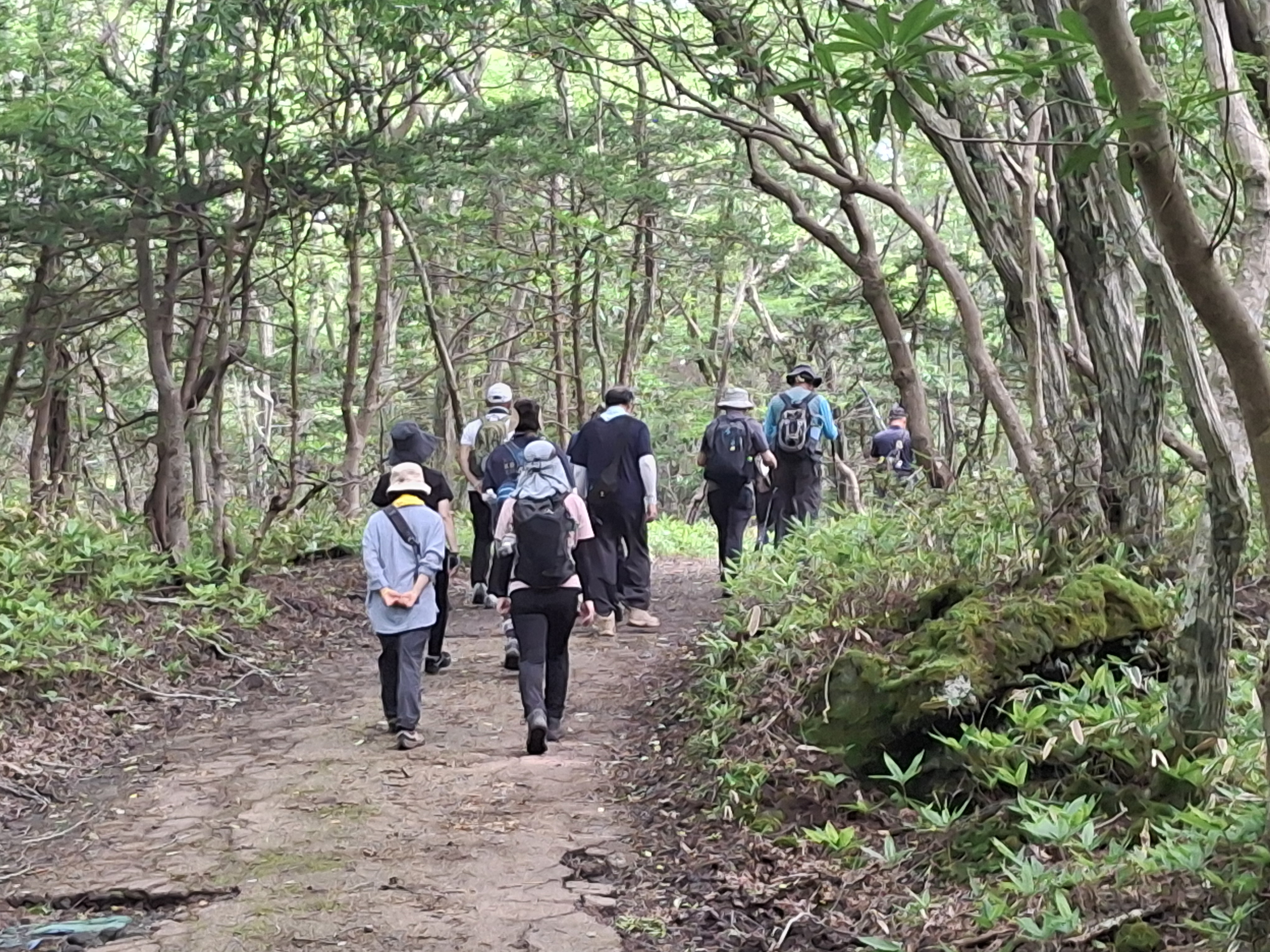 KakaoTalk_20260720_103838351_06.jpg